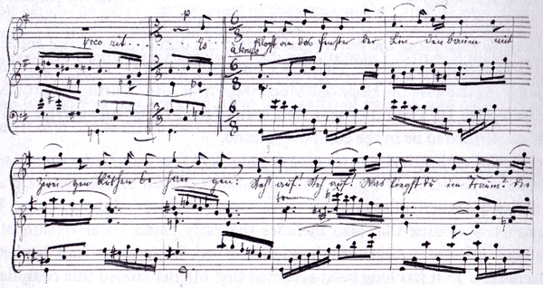 black and white facsimile of bb. 4-8 of Mahler's autograph (low voice) of Frühlingsmorgen